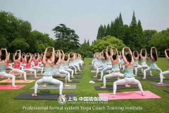 瑜伽教练培训的课程分类多吗？