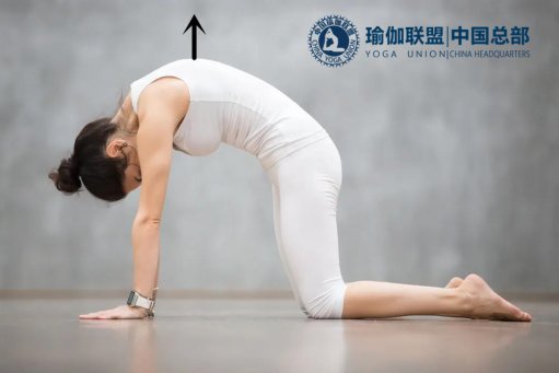 初学者练瑜伽教练哪些动作能开肩开胸？2个简单动作告诉你！