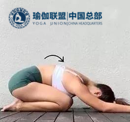 瑜伽教练资格证