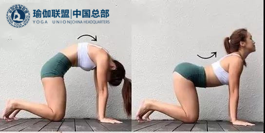 瑜伽教练资格证