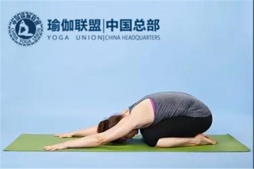 理疗瑜伽教练是用哪些体式调理来腰痛？教给你6个调理体式！