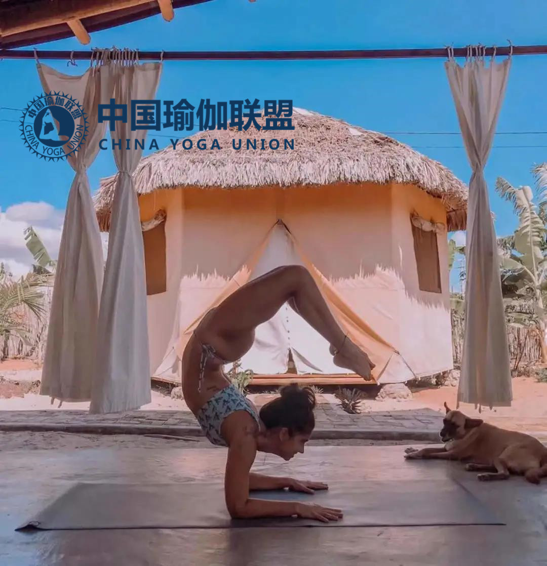 瑜伽教练资格证