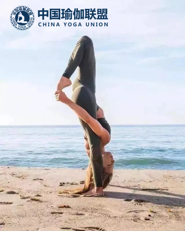 瑜伽教练资格证