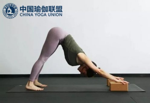 瑜伽砖怎么用在瑜伽教练体式中？教你7个练习体式！